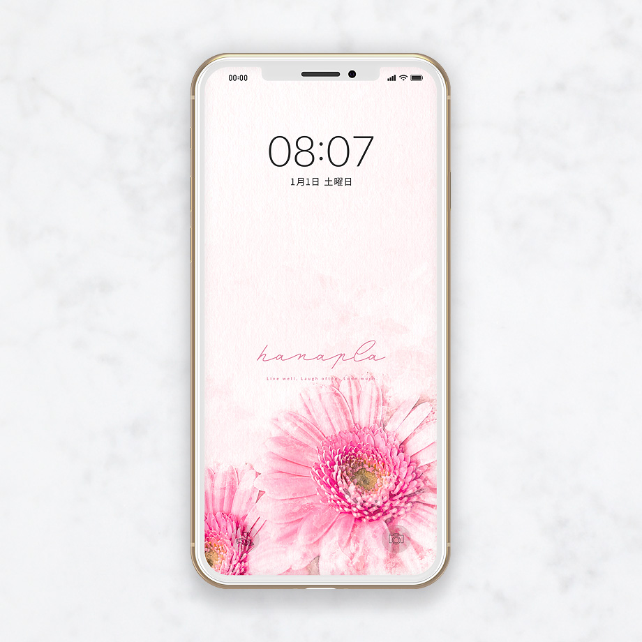 恋愛運アップの最強待ち受け おしゃれなピンクガーベラのスマホ壁紙 開運効果の待ち受けハナプラ おしゃれ スマホ壁紙 無料 運気 シンプル かわいい Iphone 高画質