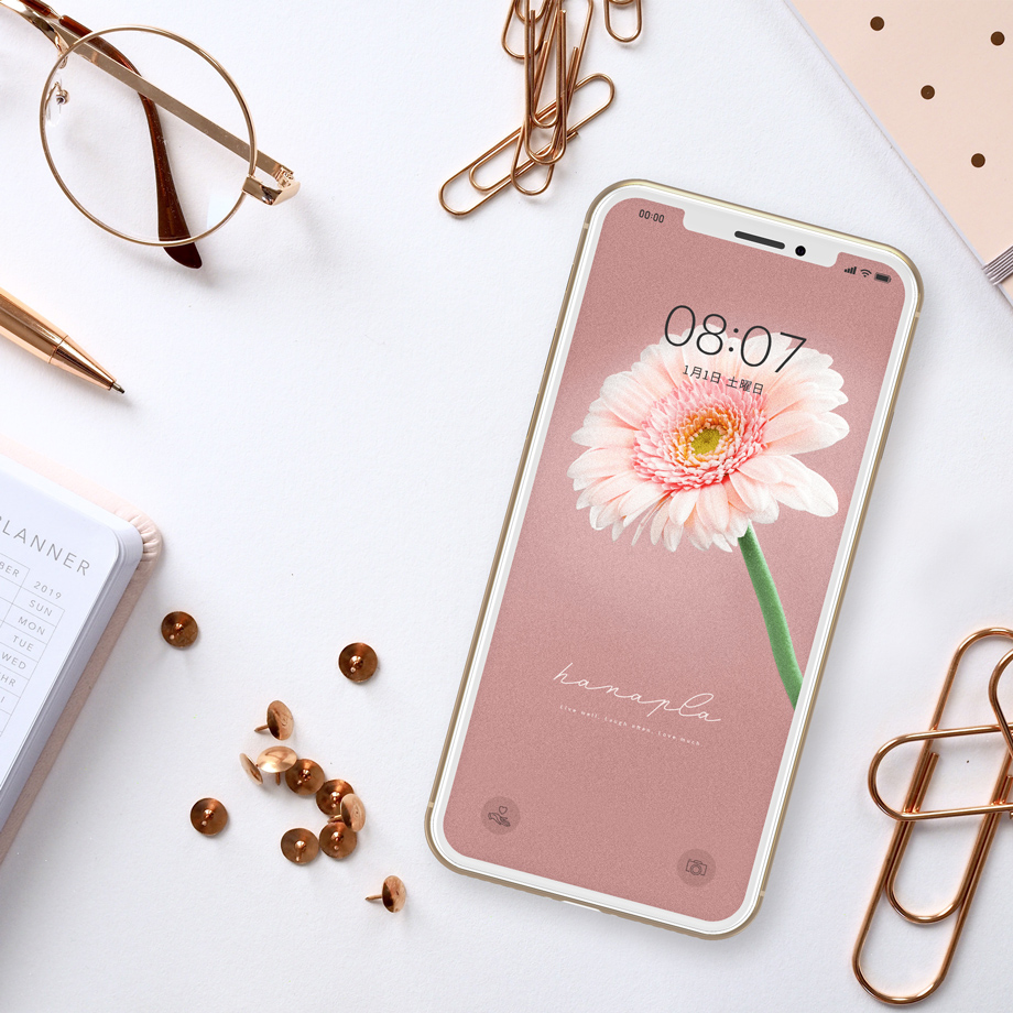 恋愛運アップの最強待ち受け おしゃれなピンクガーベラのスマホ壁紙 おしゃれ待ち受け画像ハナプラストア シンプル かわいい 開運 無料