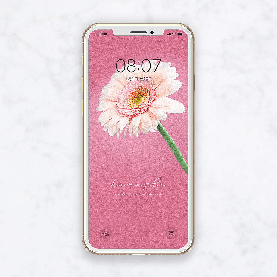 恋愛運アップの最強待ち受け おしゃれなピンクガーベラのスマホ壁紙 おしゃれ待ち受け画像ハナプラストア シンプル かわいい 開運 無料