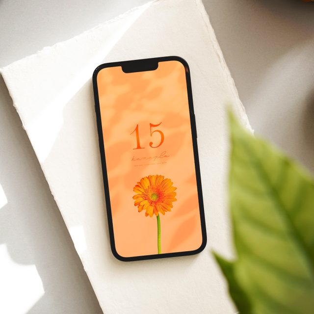 【一輪のオレンジガーベラ🧡＋数字15】ポジティブな光が包むスマホ壁紙✨エネルギッシュな色彩で気分をチャージ！