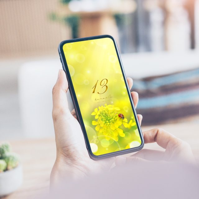 【菜の花とてんとう虫の幸せ日和＋数字13】🌼🍀春の陽だまりに舞う光✨小さな幸運を運ぶ開運スマホ壁紙💫