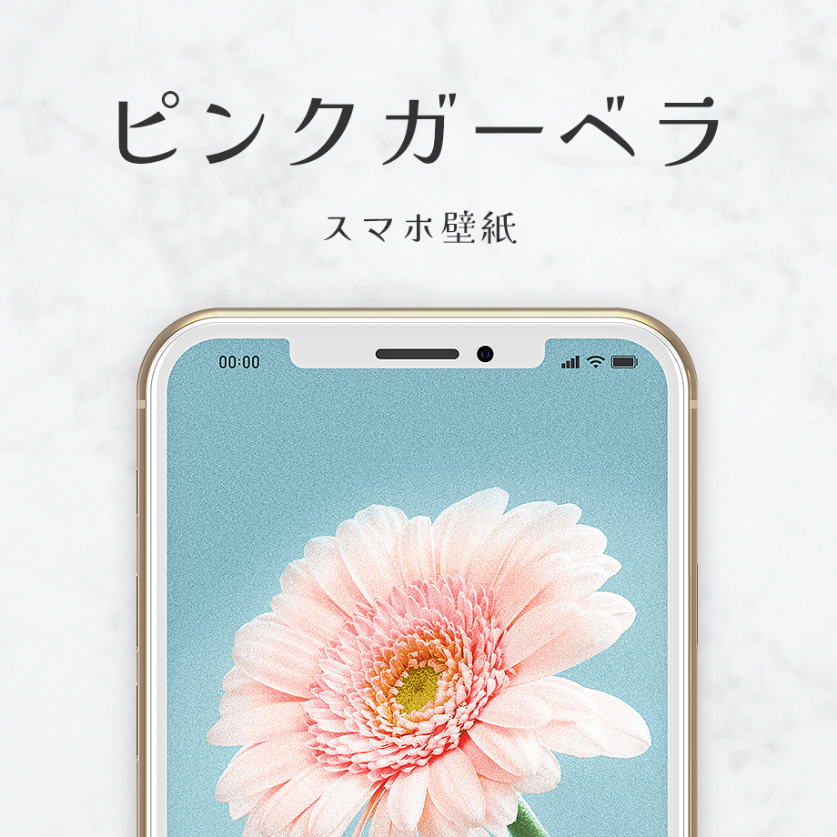 恋愛運アップの最強待ち受け おしゃれなピンクガーベラのスマホ壁紙 おしゃれ待ち受け画像ハナプラストア シンプル かわいい 開運 無料