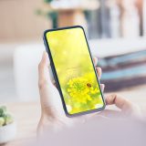 【菜の花とてんとう虫の幸せ日和】🌼🍀春の陽だまりに舞う光✨小さな幸運を運ぶ開運スマホ壁紙💫