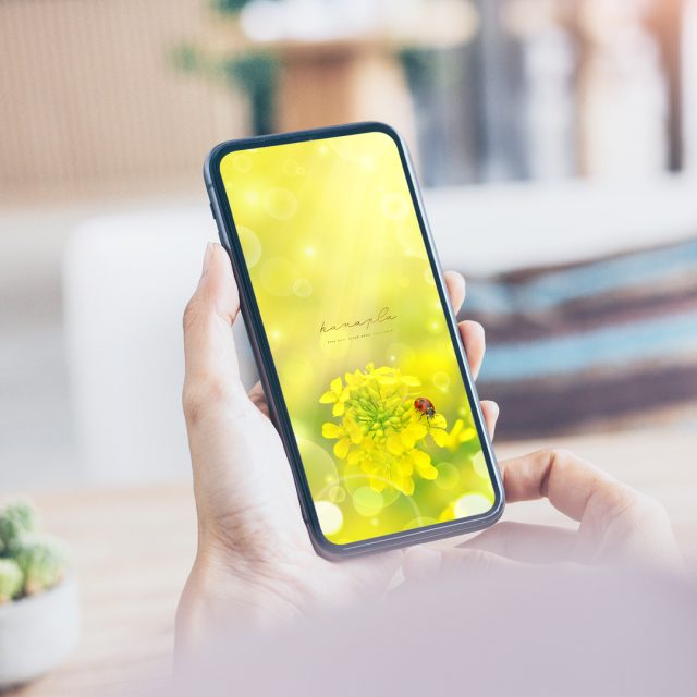 【菜の花とてんとう虫の幸せ日和】🌼🍀春の陽だまりに舞う光✨小さな幸運を運ぶ開運スマホ壁紙💫