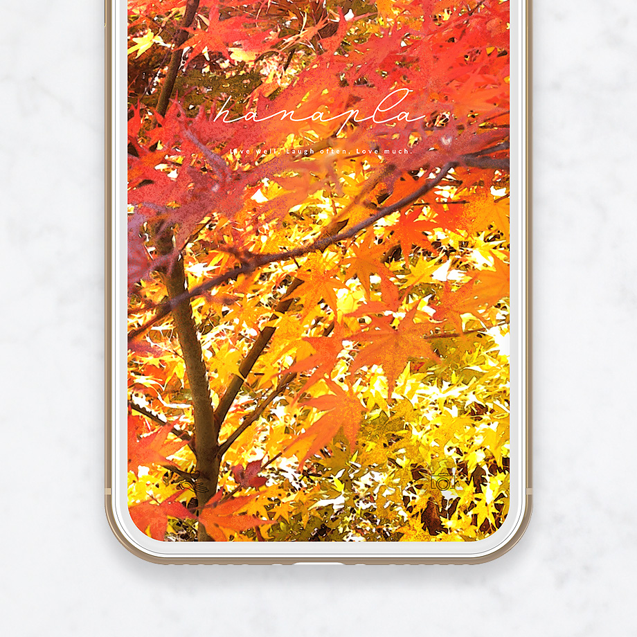 秋の紅葉待ち受け画像