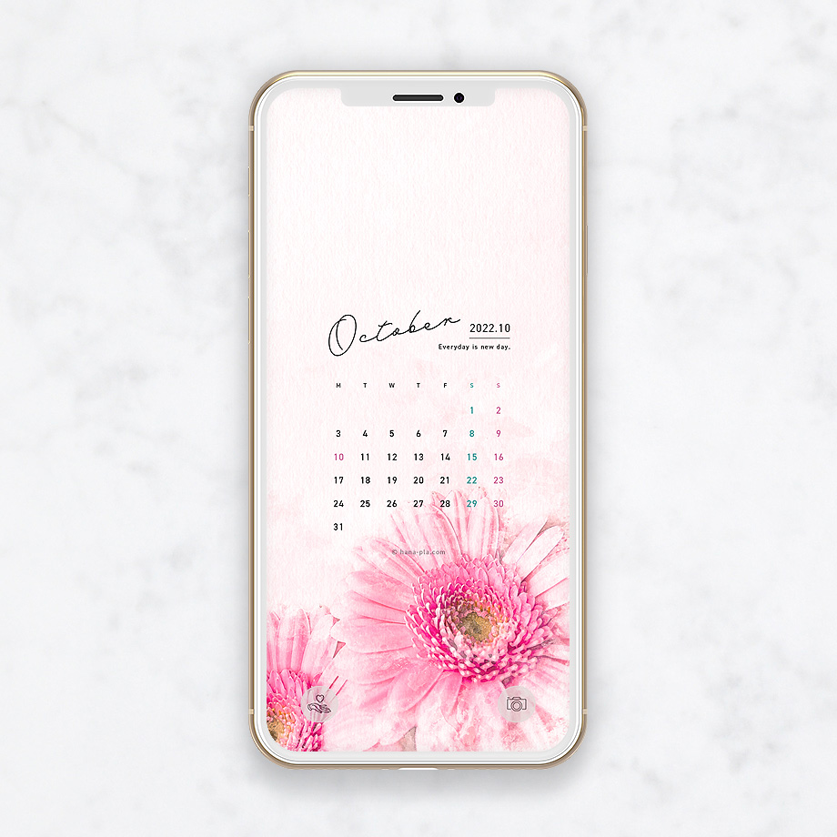 無料スマホ壁紙-ピンクのガーベラ花