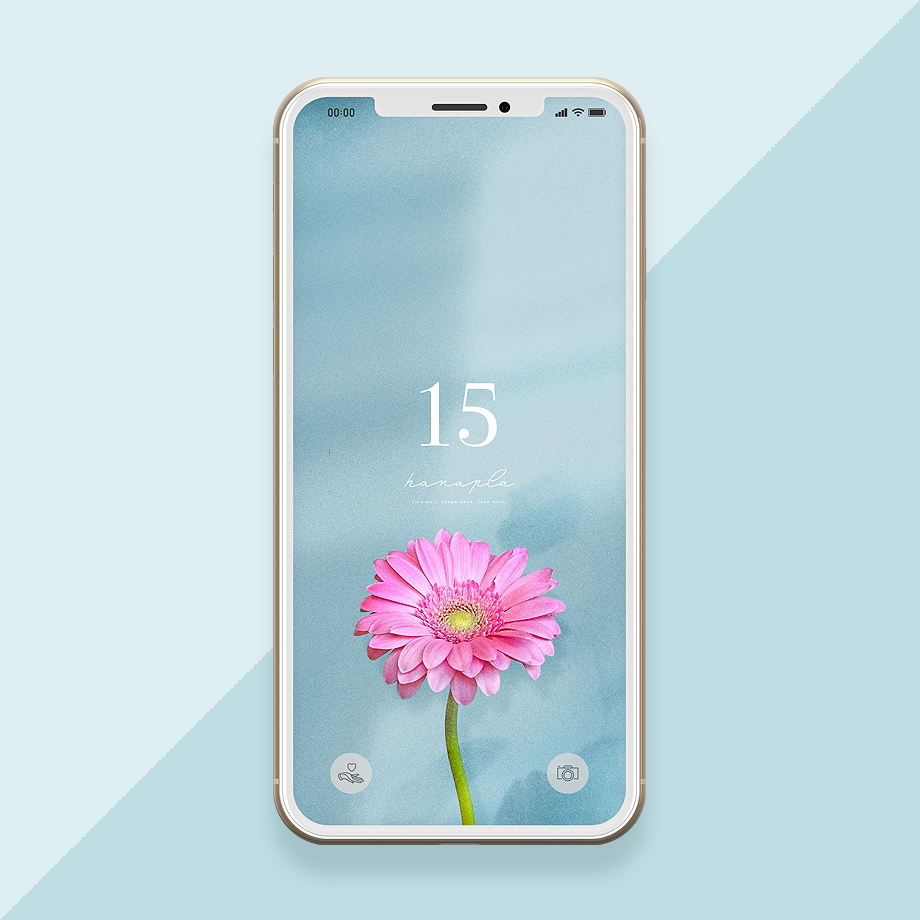 数字15とピンクガーベラの待ち受け！おしゃれで超強力な恋愛成就のスマホ壁紙