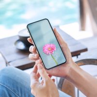 【2023年ラッキーカラー】気軽に取り入れる開運アイテム！スマホの待ち受け画像をご紹介