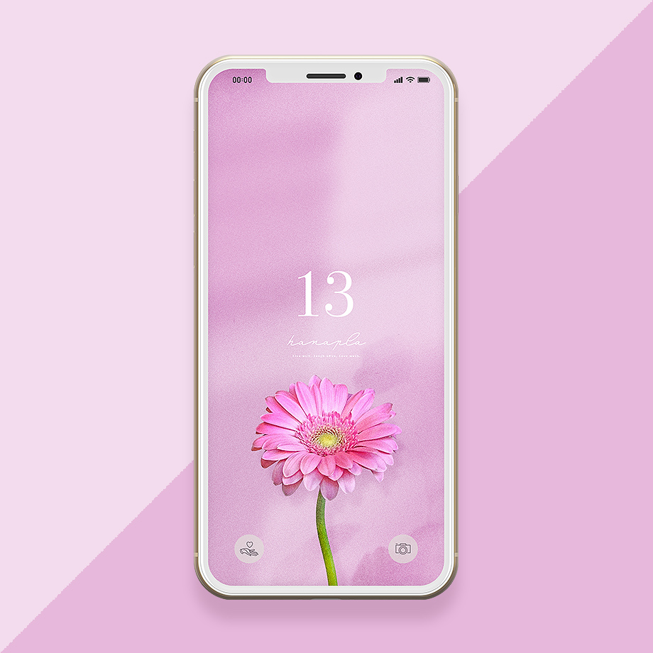 【花数字13】恋愛運アップでモテる数字13とピンクガーベラのスマホ壁紙