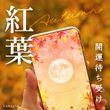 【紅葉待ち受け】見て幸せ🍁美しい紅葉（もみじ）のスマホ壁紙で運気アップ・開運効果まとめ