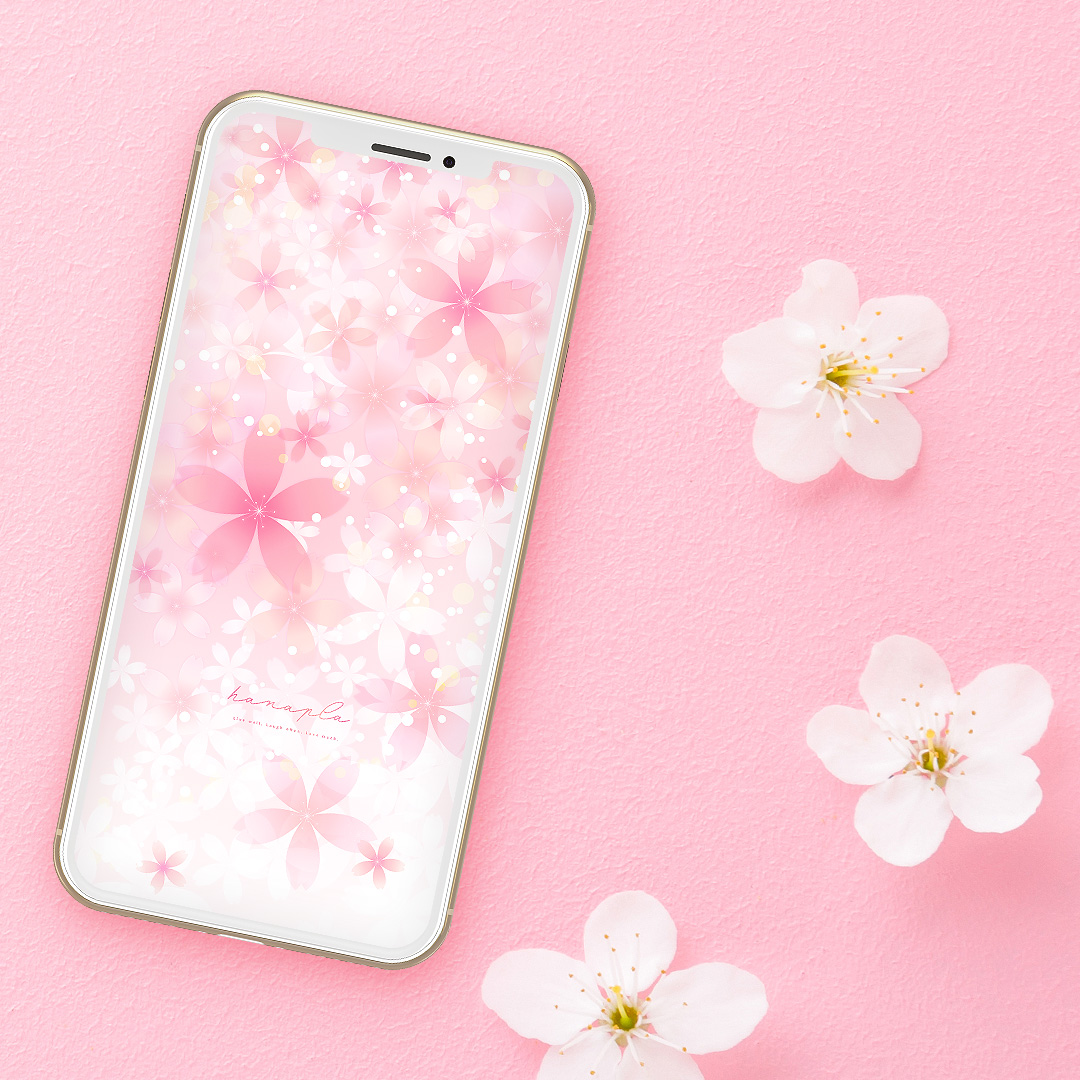 【さくら満開の春開運】幸運を呼ぶ日本の花！ふんわり美しい桜のスマホ壁紙