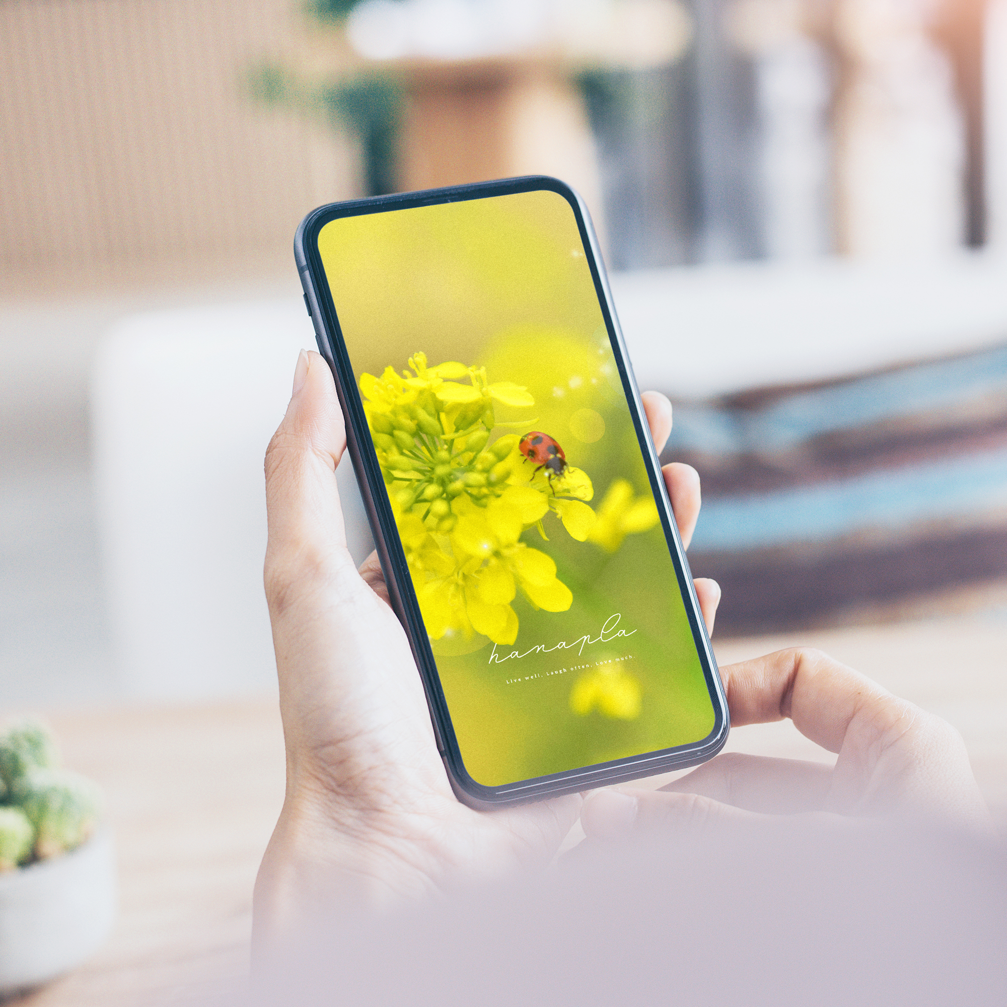 【小さな幸せと運気アップ】幸運を運ぶ「てんとう虫」と黄色い「菜の花」のスマホ壁紙