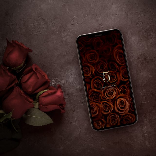 【薔薇の絨毯チョコレートローズ＋数字5】甘美な癒し！画面いっぱいの茶色い薔薇🌹スイーツのようなスマホ壁紙で幸運引き寄せ✨
