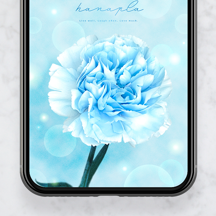 【水色カーネーションとキラキラの魔法✨】スマホを彩る、一輪の癒やし待ち受け💐