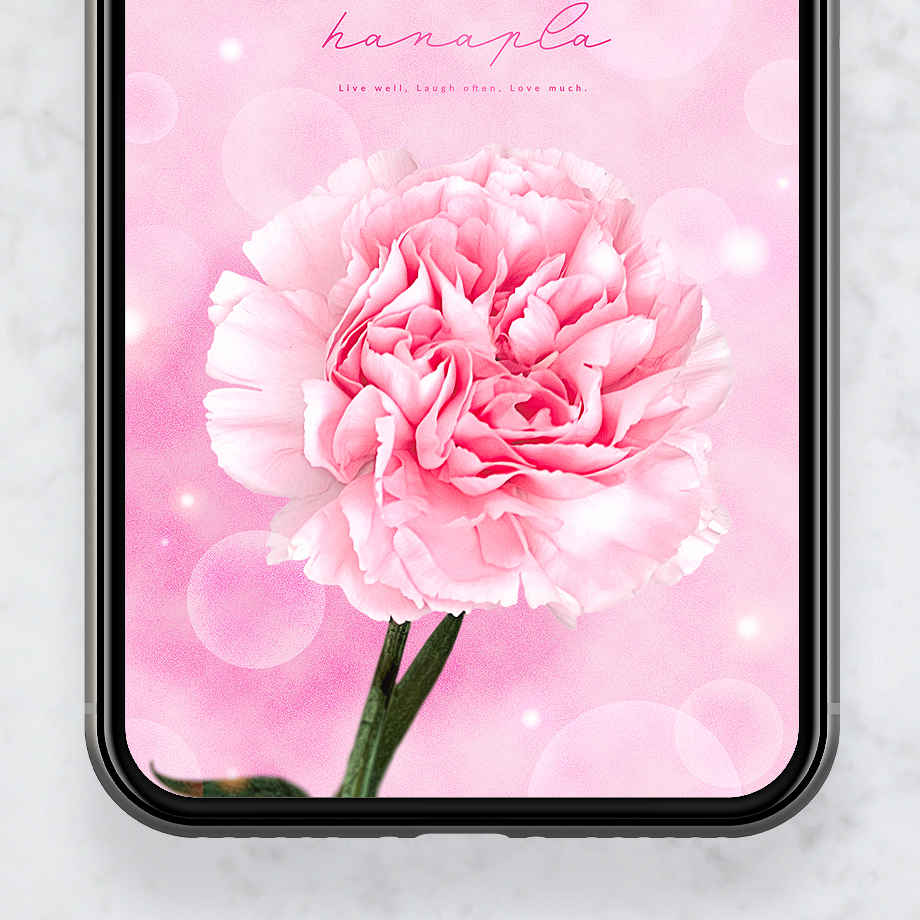 【💖ピンクのカーネーションきらめく待ち受け✨】ふんわり優しい色合いと光で、あなたのスマホを幸せオーラで包み込む🌸