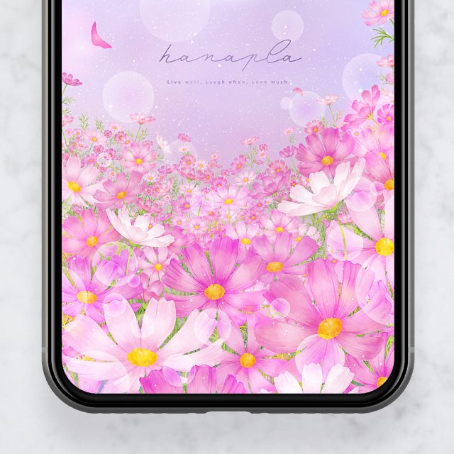 【満開コスモスと満月】癒しの夜空に願いを込めて🌕花と月が導くスマホ壁紙✨
