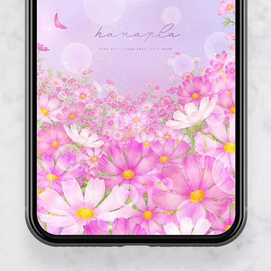 【満開コスモスと満月】癒しの夜空に願いを込めて🌕花と月が導くスマホ壁紙✨