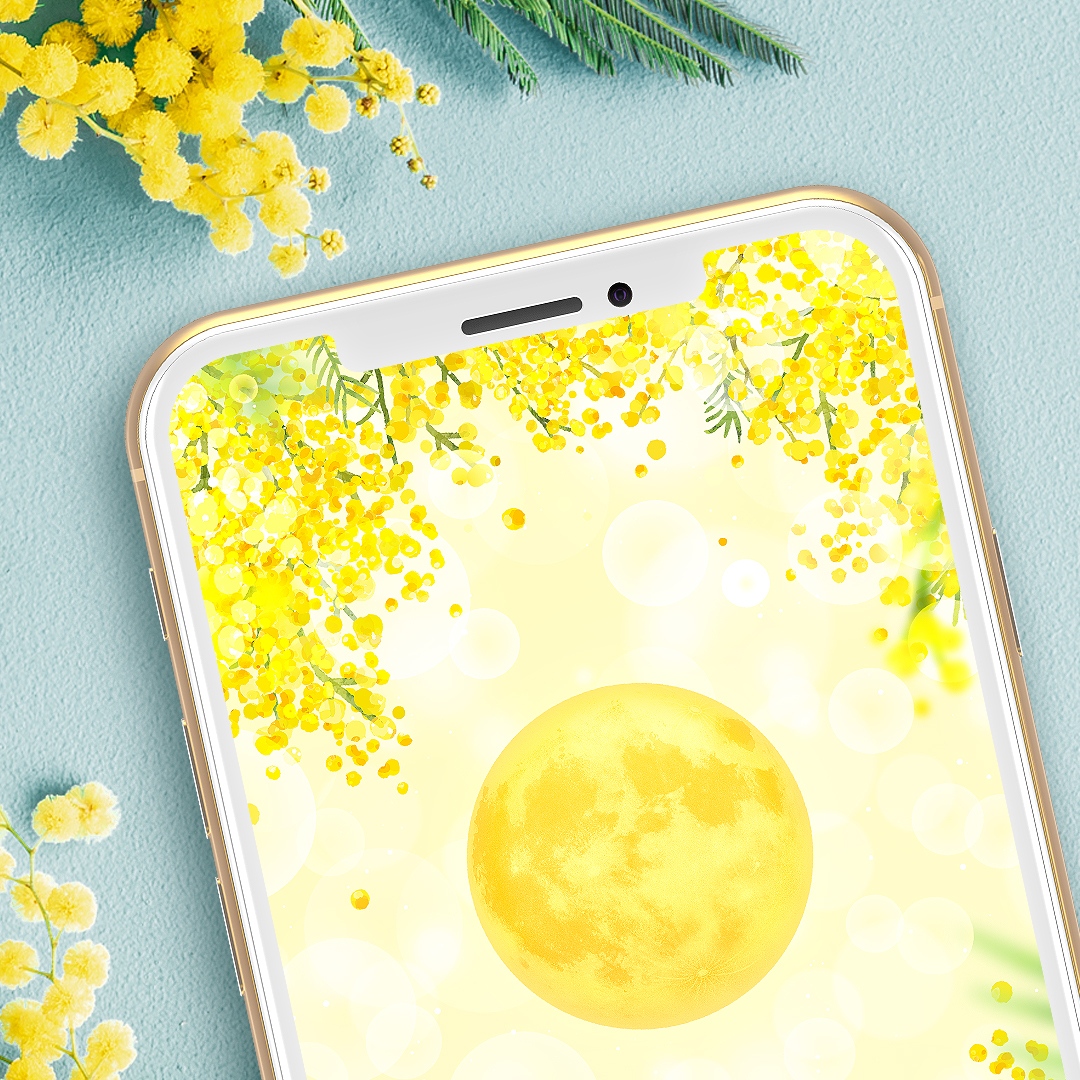 【幸運を呼ぶミモザとイエロームーン】満月の光で運気をチャージ🌕輝きを呼び込むスマホ壁紙✨