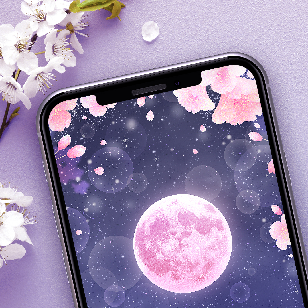 【春らんまん夜桜満月🌕】夜空に舞う花びらとピンクムーンが心を癒すスマホ待ち受け画像🌸✨