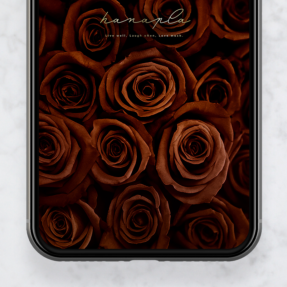 【プレミアム・チョコレートローズ】甘美な癒し！画面いっぱいの茶色い薔薇🌹スイーツのようなスマホ壁紙で幸運引き寄せ✨