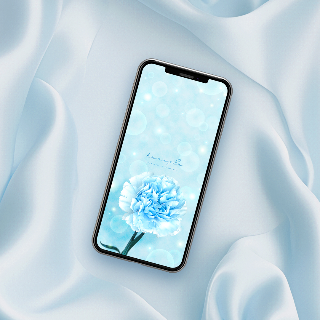 【水色カーネーションとキラキラの魔法✨】スマホを彩る、一輪の癒やし待ち受け💐