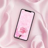 【💖ピンクのカーネーションきらめく待ち受け✨】ふんわり優しい色合いと光で、あなたのスマホを幸せオーラで包み込む🌸