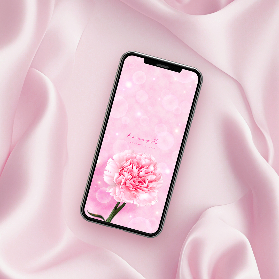 【💖ピンクのカーネーションきらめく待ち受け✨】ふんわり優しい色合いと光で、あなたのスマホを幸せオーラで包み込む🌸