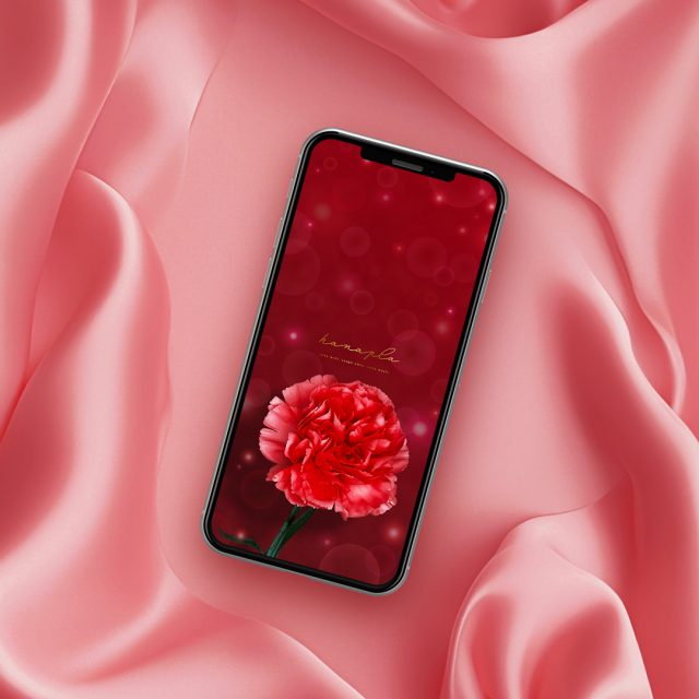 【心ときめく深紅のカーネーション】スマホ壁紙で毎日を華やかに彩る💐