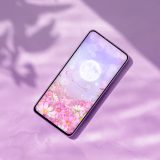 【満開コスモスと満月】癒しの夜空に願いを込めて🌕花と月が導くスマホ壁紙✨