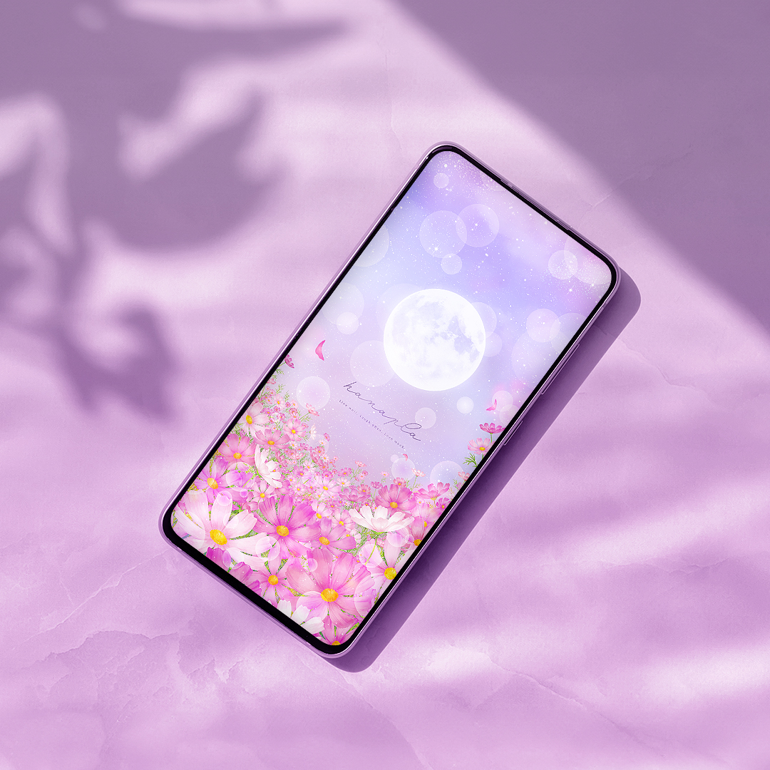 【満開コスモスと満月】癒しの夜空に願いを込めて🌕花と月が導くスマホ壁紙✨