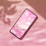 【満開コスモスと桃色空】優しさ広がる癒しの花畑🌸毎日を彩るスマホ壁紙📱✨