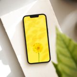 【幸せの一輪イエローガーベラ🌼】ポジティブな光をあなたに✨明るい気持ちで毎日をスタート！