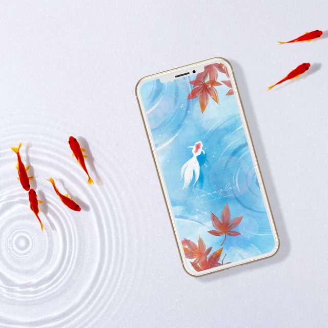 【金運招く白金魚と紅葉モミジ】秋色に染まる癒しの水面🍁金運と心を整える開運スマホ壁紙🐟✨