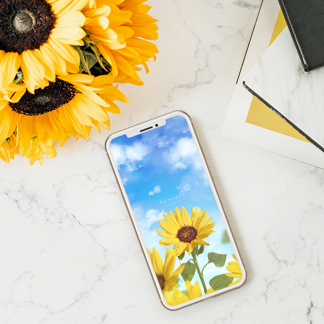 【笑顔咲く🌻ひまわりと快晴ブルー】心晴れやかになる夏空と向日葵のスマホ壁紙💙癒しと元気をあなたに✨