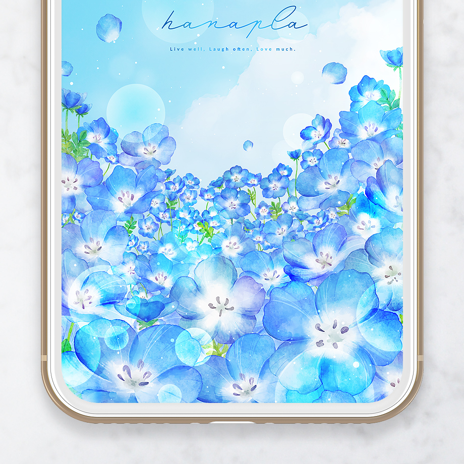 【ネモフィラと青空の癒し壁紙】空にとけこむ青い花畑💙心まで晴れるスマホ待ち受け画像✨