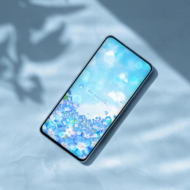【ネモフィラと青空の癒し壁紙】空にとけこむ青い花畑💙心まで晴れるスマホ待ち受け画像✨