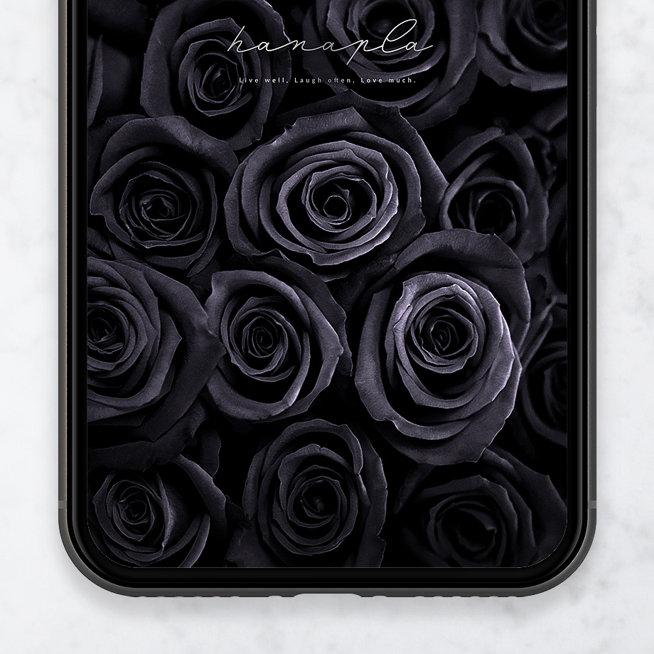 【プレミアム・ブラックローズ】願い叶える漆黒薔薇！圧倒的な存在感🌙心に響く美しさ✨高級感あふれるスマホ壁紙🖤