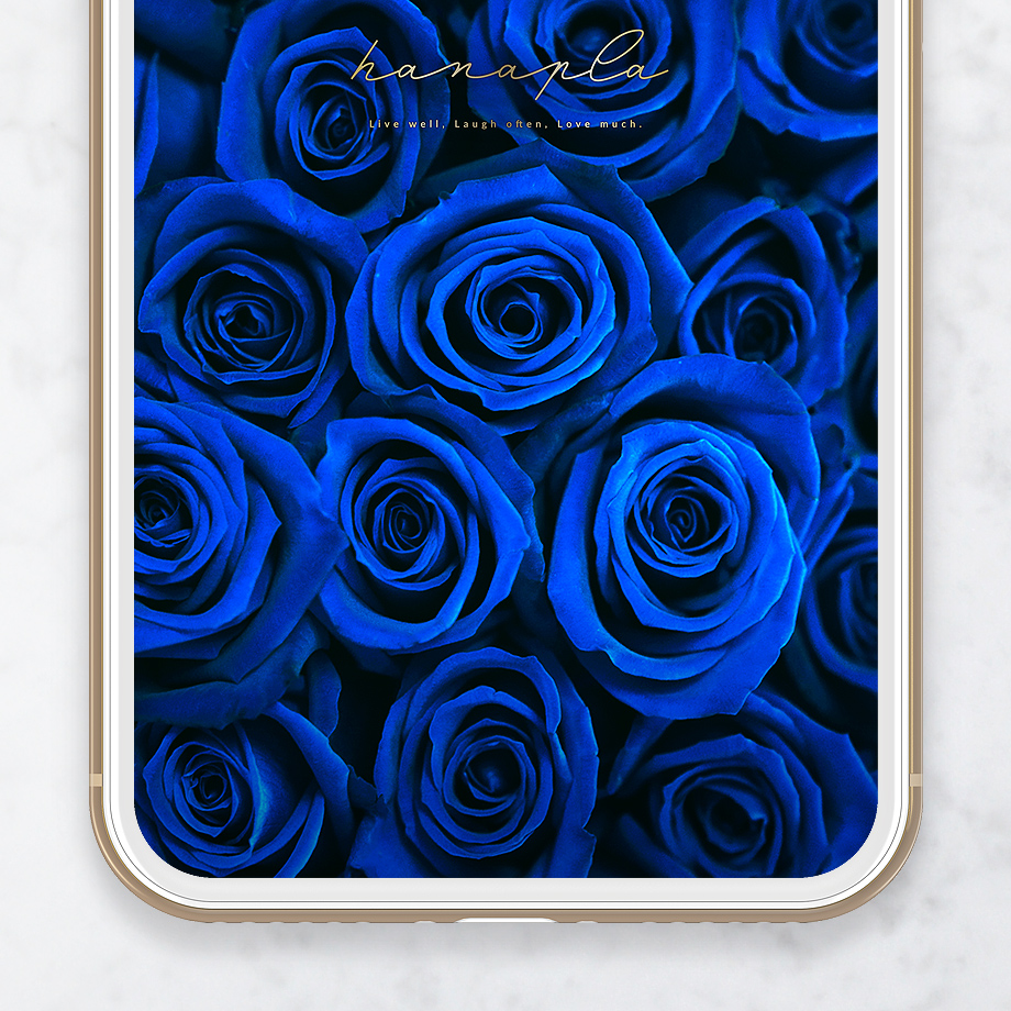 【プレミアム・ブルーローズ】奇跡の輝き！画面いっぱいの青薔薇🌹願いを叶える神秘のスマホ壁紙で幸運を引き寄せ✨