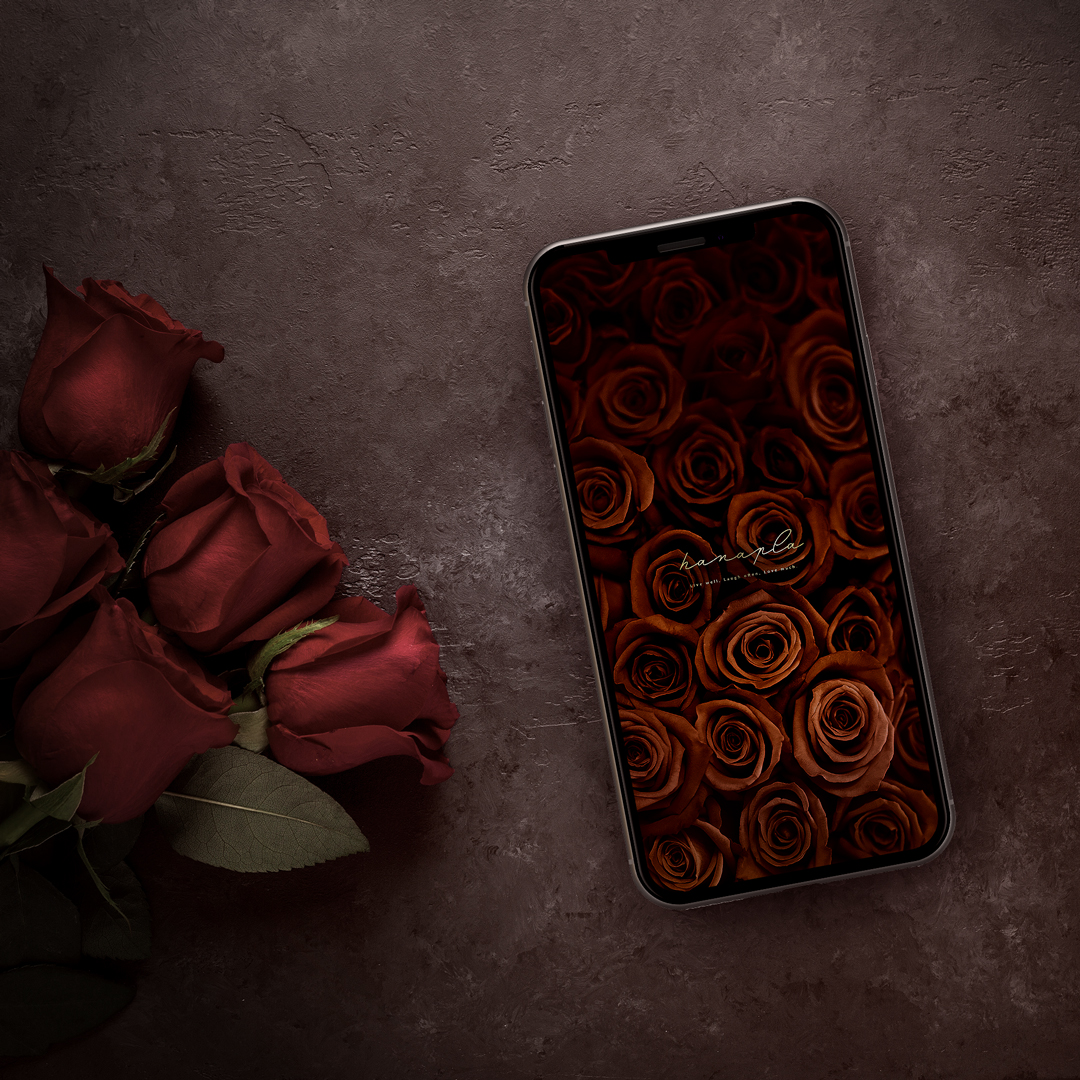 【プレミアム・チョコレートローズ】甘美な癒し！画面いっぱいの茶色い薔薇🌹スイーツのようなスマホ壁紙で幸運引き寄せ✨