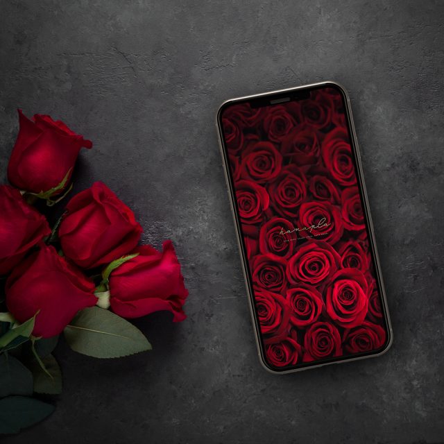 【薔薇の絨毯ルビーローズ】恋咲く待ち受け！画面いっぱいの深紅バラが高級感を演出💖恋愛運・金運UPのスマホ壁紙✨