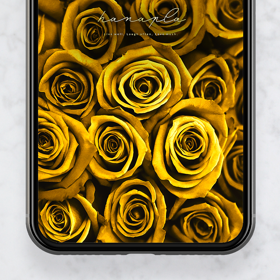 【薔薇の絨毯イエローローズ】幸せを呼ぶ高貴なゴールド💛スマホ壁紙で金運も気分もアップ⤴️✨