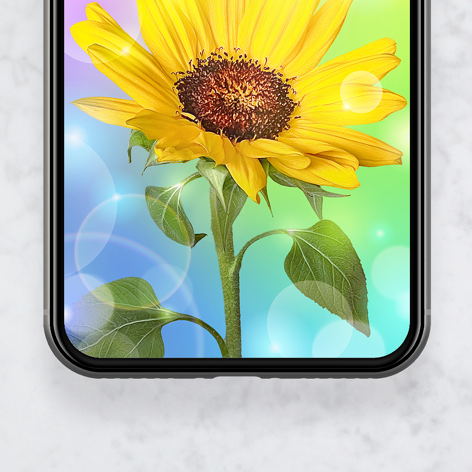 【レインボーオーラ大輪ひまわり】願いが叶う🌟七色の光を浴びて咲く開運スマホ壁紙🌻毎日を明るく照らす待ち受け画像✨