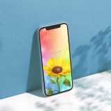 【レインボーオーラ大輪ひまわり】願いが叶う🌟七色の光を浴びて咲く開運スマホ壁紙🌻毎日を明るく照らす待ち受け画像✨