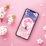 【さくら満月の願い猫】恋と願いを叶える🌸ピンクムーンと黒猫の癒し待ち受け画像✨開運スマホ壁紙にも🐾
