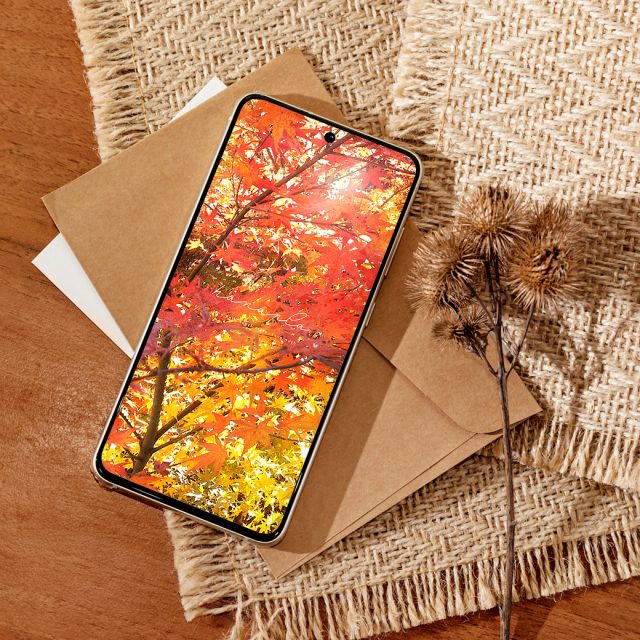 【幸福と秋光に包まれる橙黄金モミジ】🍁✨画面いっぱいに広がる紅葉が厄を祓い運気を高める、秋のパワースポット待ち受け🌞