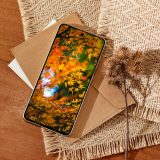 秋の紅葉の待ち受けで運気アップ
