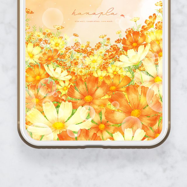 【山吹色の秋空と満開コスモス】🍂✨心を癒すオレンジと黄の彩り🌼穏やかな秋の空気と幸福感を運ぶスマホ待ち受け壁紙