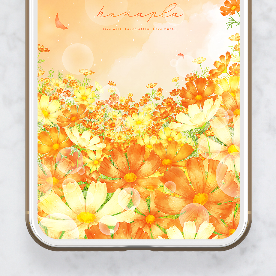 【山吹色の秋空と満開コスモス】🍂✨心を癒すオレンジと黄の彩り🌼穏やかな秋の空気と幸福感を運ぶスマホ待ち受け壁紙