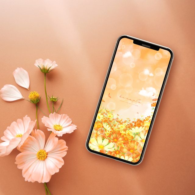 【山吹色の秋空と満開コスモス】🍂✨心を癒すオレンジと黄の彩り🌼穏やかな秋の空気と幸福感を運ぶスマホ待ち受け壁紙