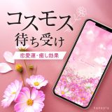 おしゃれ🌸コスモス（秋桜）の待ち受け画像・効果・花言葉【9月14日はコスモスの日】